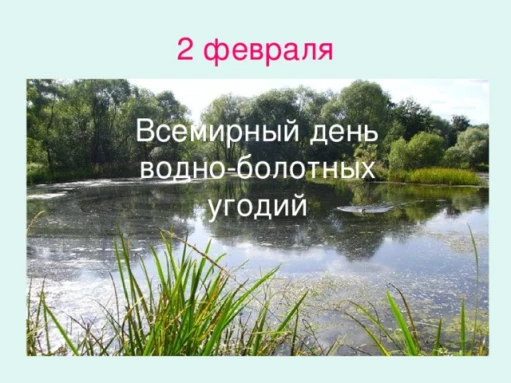 0d11a152630f2593ce1eb92a98cc1cf7ccc3ee4b7108cd6d30f96f8cb9106f61.jpg
