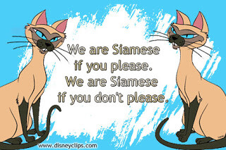 Si and Am Lady and the Tramp Siamese cats