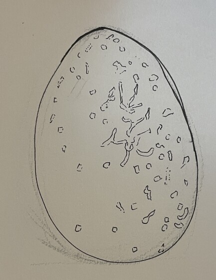 a rough inking of a robin's egg