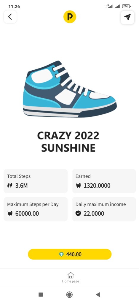 EXPENSIVE USDT SHOE