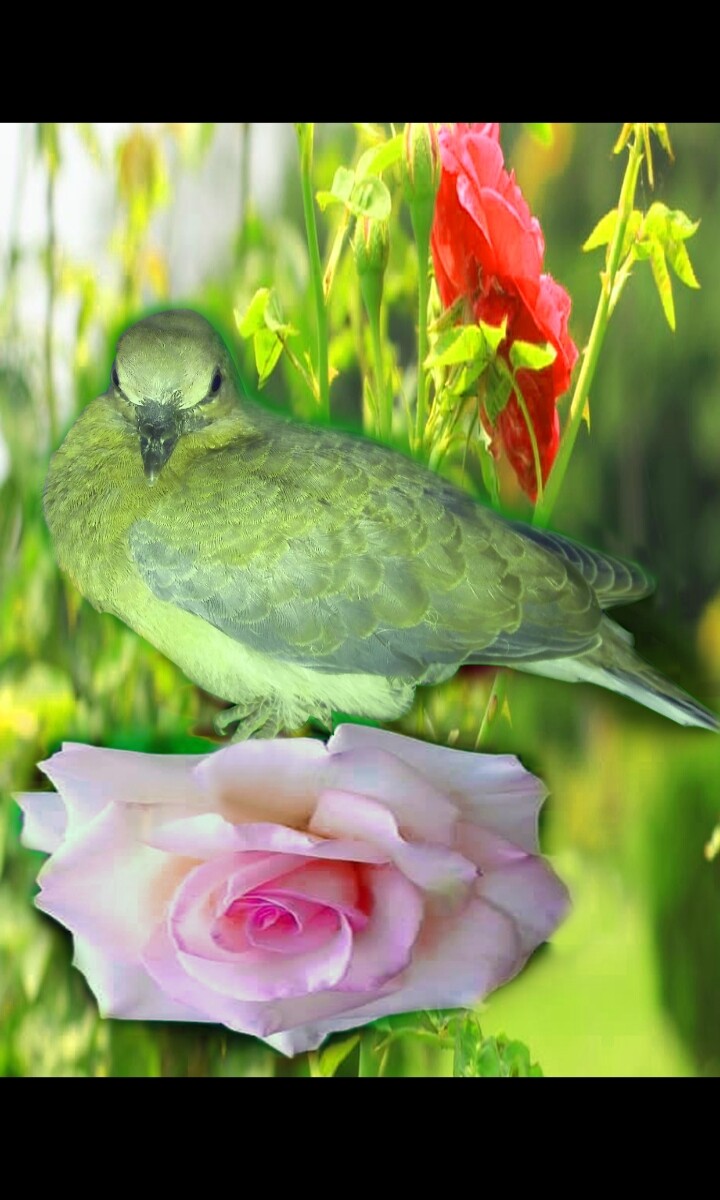 388f23d5da0d8b2af559bcee41c64c7661984645a66d4595cbf2eaee6cc38164.jpeg