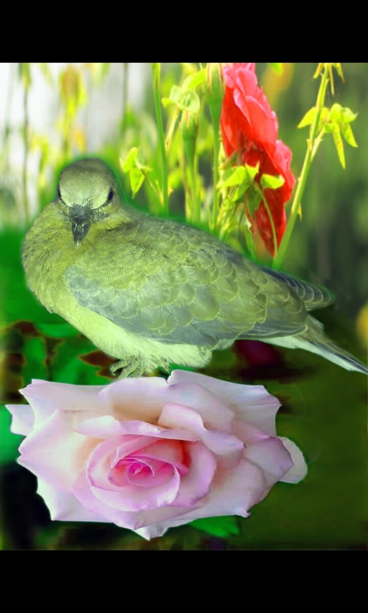 da8b835418353363dbfb04c0d97f524e7c4ec4fe41379d05c4088637e845e151.jpeg
