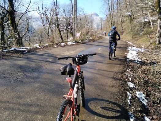We Passed The Blossoms &amp; Reached The Frozen Mountain Road