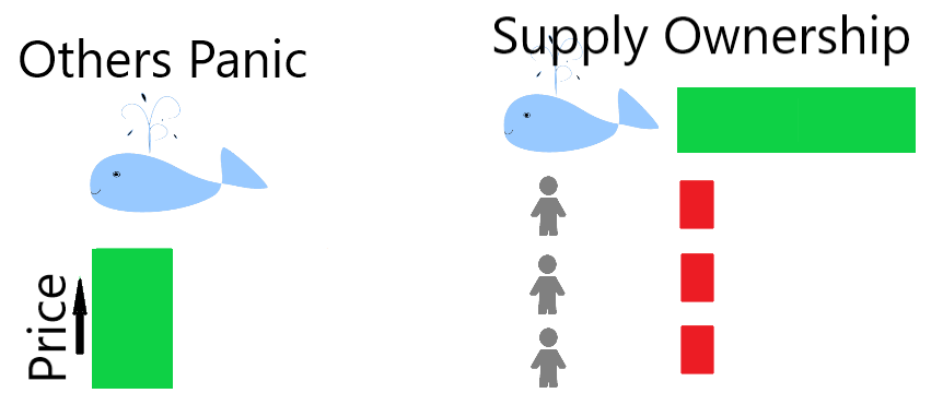 Whales buy back at cheaper price.