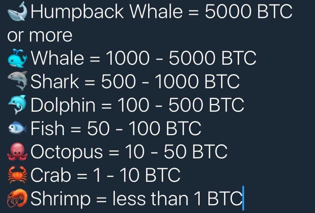 Chart - BTC Net worth