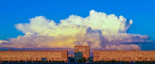 cool photo