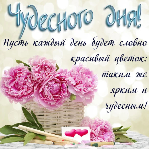 66be0ec9e909ff16585740c800472f98f9c8ffa3b3df8ae9ccec9136277c310e.jpg