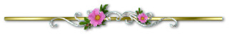 7ea28a84c15a02359372bd843c3ab42ac1a82d309a94fee9f6a7594cdaa7842b.jpg