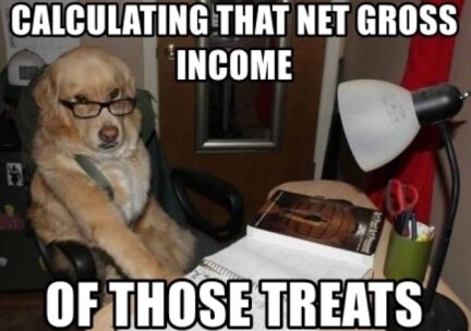 Dog Income