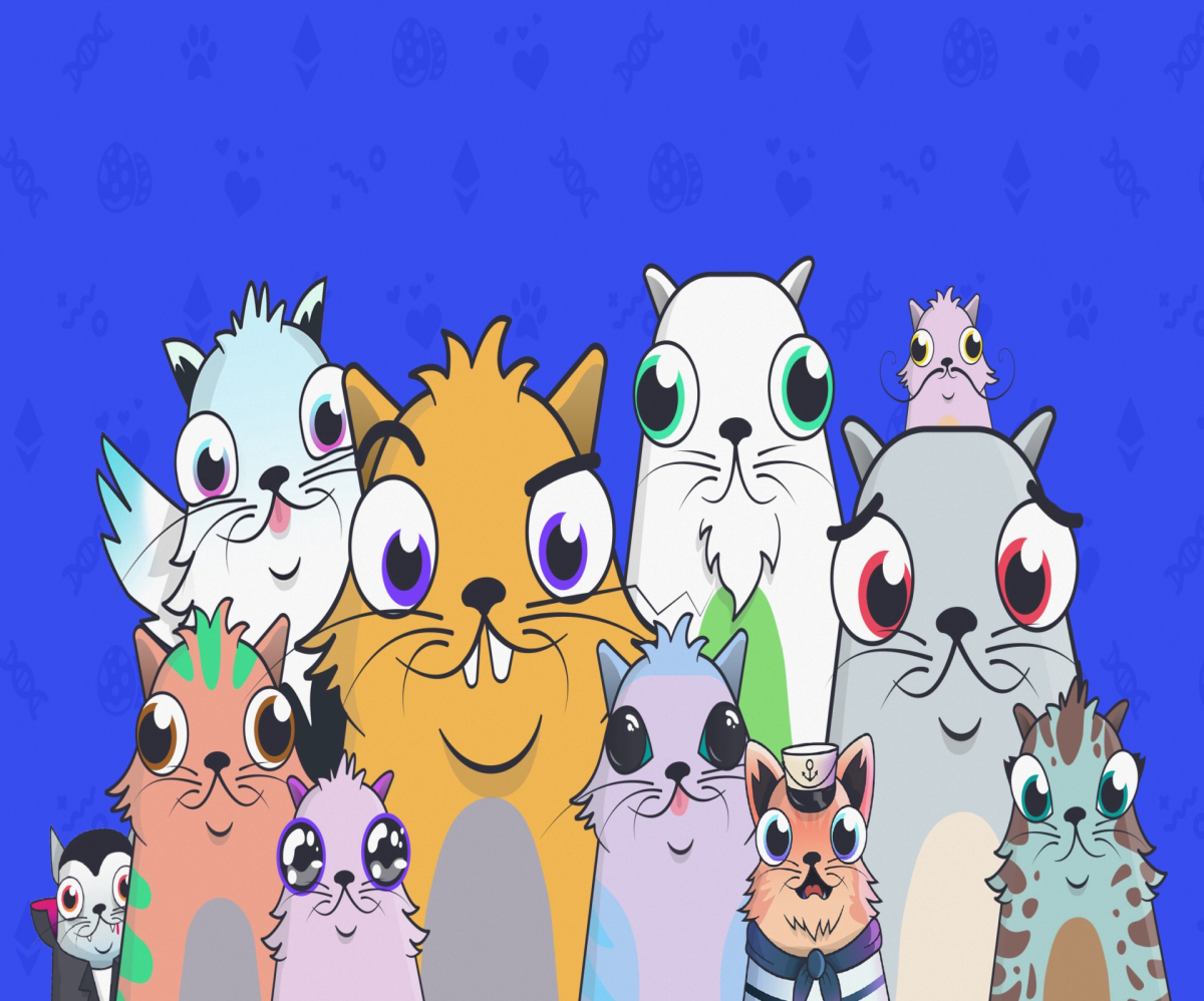 de918da3a2329fa1f658fee4e2dbffb53aafbb68f9af3e9649bf9f05121cb621.png