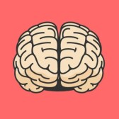 What is on the brain.