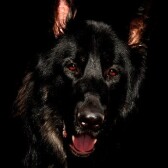Emerging from Darkness