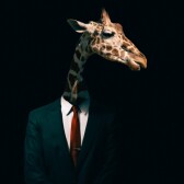 Les cryptos pour les nuls