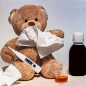 Dr Bear