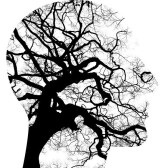 Mental Health Wellness