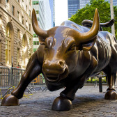 Permabull