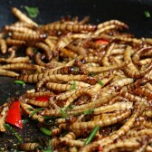 EDIBLE INSECTS - A Food Revolution