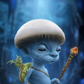 The Aegimist