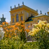 Traveling with Photoparadise