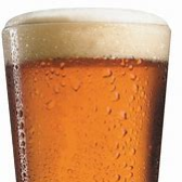 Food and Beer