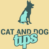 Cat And Dog Tips