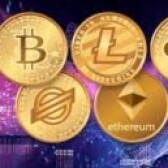 Supportive Crypto Community