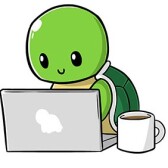 Pcturtle69Upland