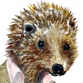 Hamminy
