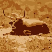 Some bull got traped some bull got rested
