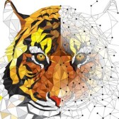 Zerotocrypto