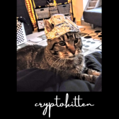 cryptokitten