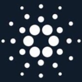 TheBronxCrypto