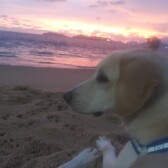Makemo