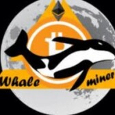 whaleminer