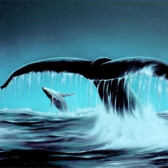 Whale Tail Mining