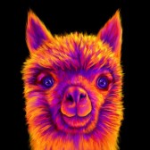 Cryptoglazed