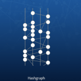 Hedera Hashgraph 3rd generation has a problem?