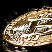 Coin Optics