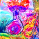 Deep Dreams