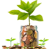 Smart Money