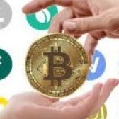 CryptoYield