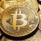 The Crypto Fanatic