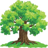 The Followers of the Mighty Oak