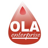 Ola336533