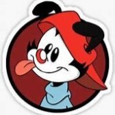Wakko
