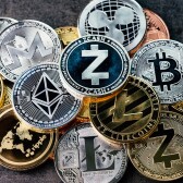 para crypt0x