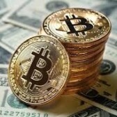 A 11% fall in Bitcoin. Will crytpo survive?
