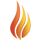 The Burn Token