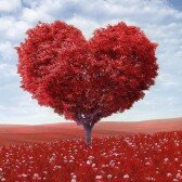 From heart to heart <3