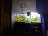 Aquarist Guide